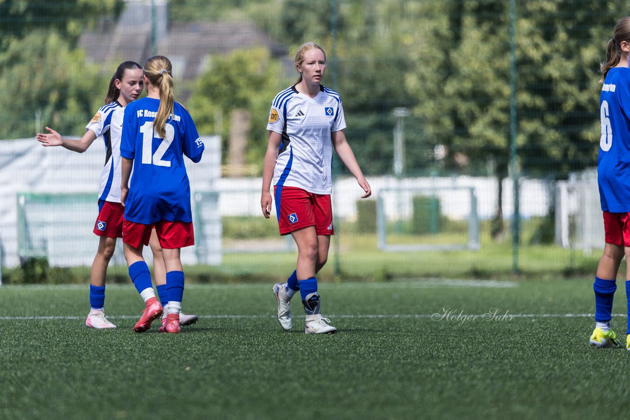Bild 369 - wCJ Hamburger SV - FC Rosengarten : Ergebnis: 1:1
